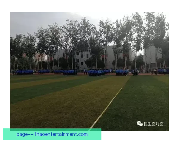 世界杯舞台上的加拿大队崛起之路与北美足球新希望青春力量与梦想征程